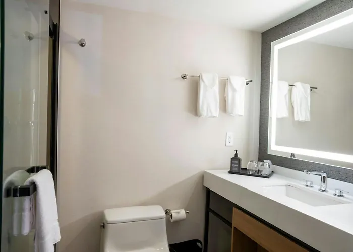 Sheraton Niagara Falls